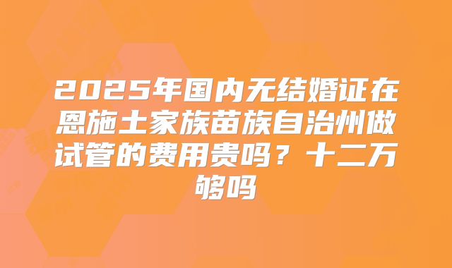 2025年国内无结婚证在恩施土家族苗族自治州做试管的费用贵吗?十二万够吗