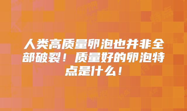 人类高质量卵泡也并非全部破裂!质量好的卵泡特点是什么!