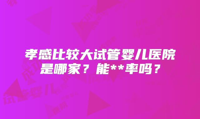 孝感比较大试管婴儿医院是哪家？能**率吗？