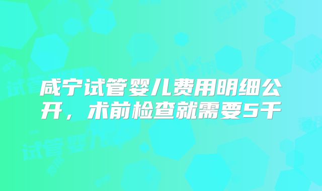 咸宁试管婴儿费用明细公开，术前检查就需要5千