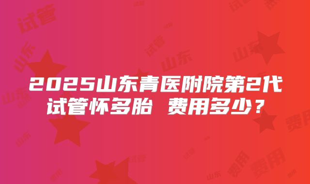 2025山东青医附院第2代试管怀多胎 费用多少?