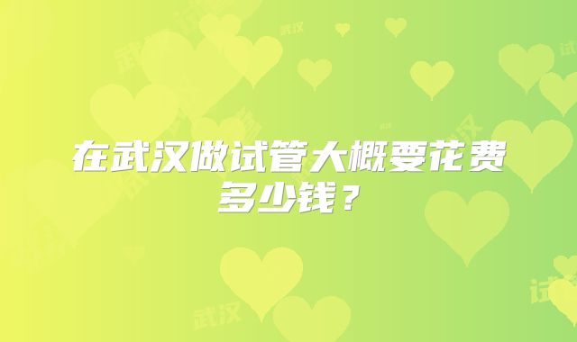 在武汉做试管大概要花费多少钱?