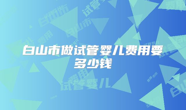 白山市做试管婴儿费用要多少钱