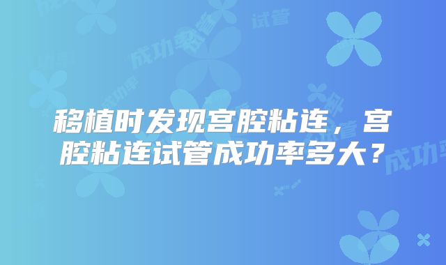 移植时发现宫腔粘连，宫腔粘连试管成功率多大？