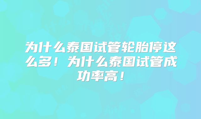 为什么泰国试管轮胎停这么多！为什么泰国试管成功率高！