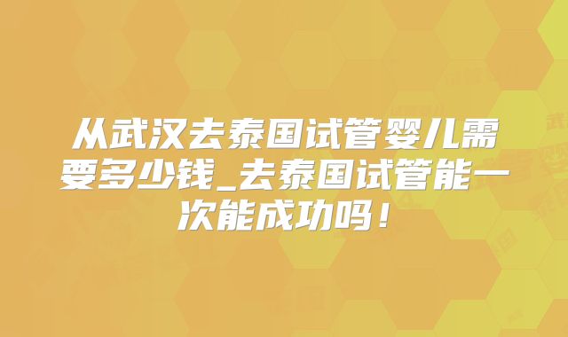 从武汉去泰国试管婴儿需要多少钱_去泰国试管能一次能成功吗!
