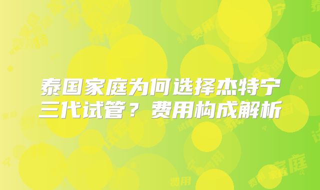 泰国家庭为何选择杰特宁三代试管?费用构成解析