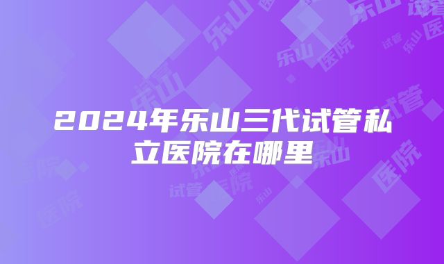 2024年乐山三代试管私立医院在哪里