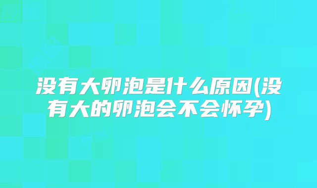 没有大卵泡是什么原因(没有大的卵泡会不会怀孕)