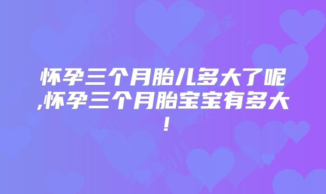 怀孕三个月胎儿多大了呢,怀孕三个月胎宝宝有多大!