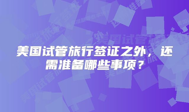 美国试管旅行签证之外，还需准备哪些事项？