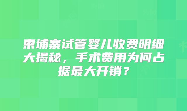 柬埔寨试管婴儿收费明细大揭秘，手术费用为何占据最大开销？
