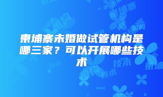 柬埔寨未婚做试管机构是哪三家?可以开展哪些技术
