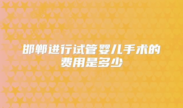 邯郸进行试管婴儿手术的费用是多少