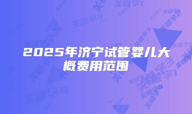 2025年济宁试管婴儿大概费用范围