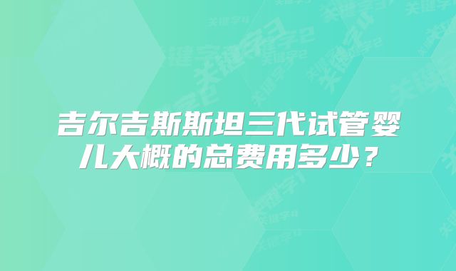 吉尔吉斯斯坦三代试管婴儿大概的总费用多少？