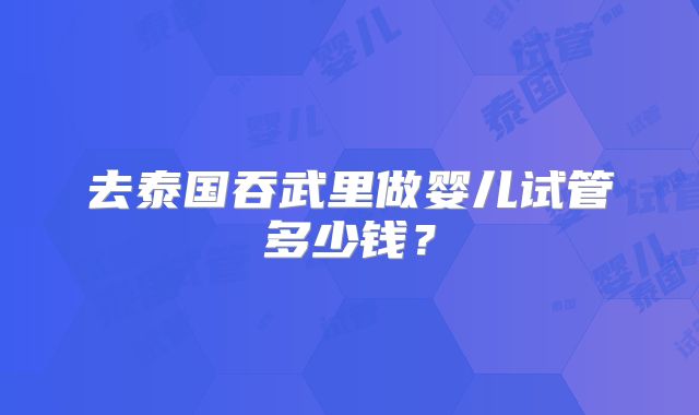 去泰国吞武里做婴儿试管多少钱?