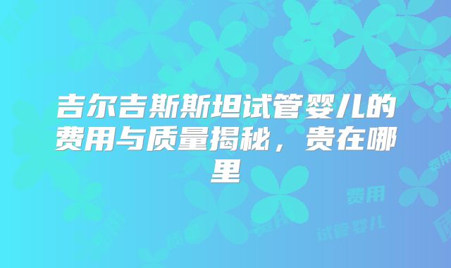 吉尔吉斯斯坦试管婴儿的费用与质量揭秘,贵在哪里