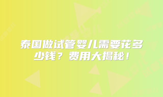 泰国做试管婴儿需要花多少钱？费用大揭秘！