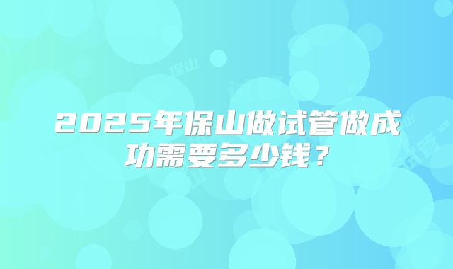 2025年保山做试管做成功需要多少钱?