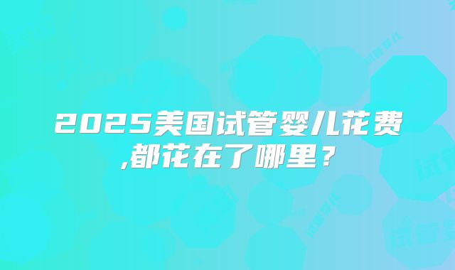 2025美国试管婴儿花费,都花在了哪里？