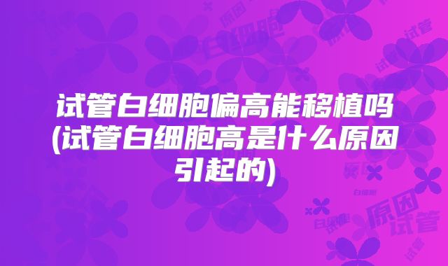 试管白细胞偏高能移植吗(试管白细胞高是什么原因引起的)
