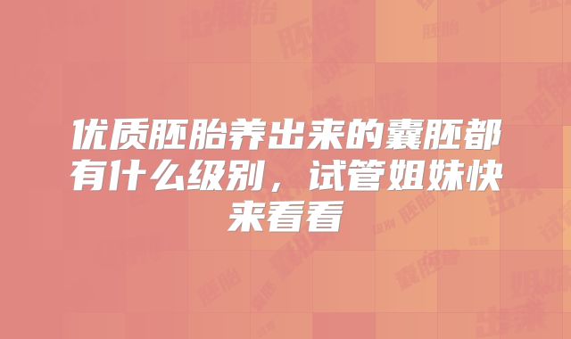 优质胚胎养出来的囊胚都有什么级别，试管姐妹快来看看