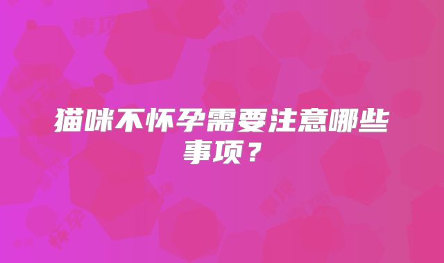 猫咪不怀孕需要注意哪些事项？