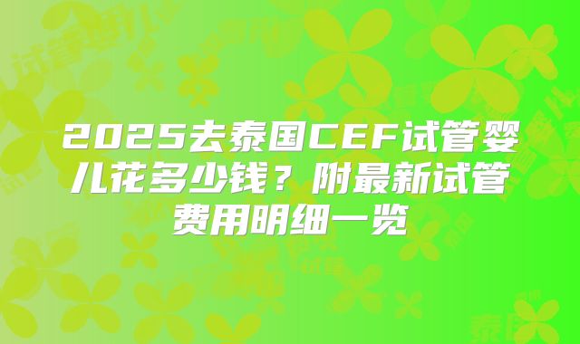 2025去泰国CEF试管婴儿花多少钱？附最新试管费用明细一览