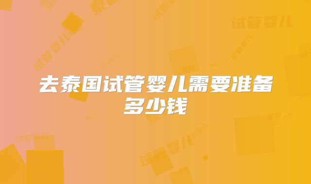 去泰国试管婴儿需要准备多少钱