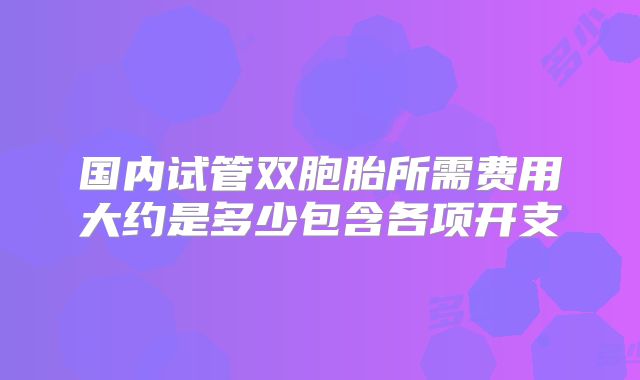 国内试管双胞胎所需费用大约是多少包含各项开支