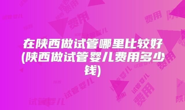 在陕西做试管哪里比较好(陕西做试管婴儿费用多少钱)