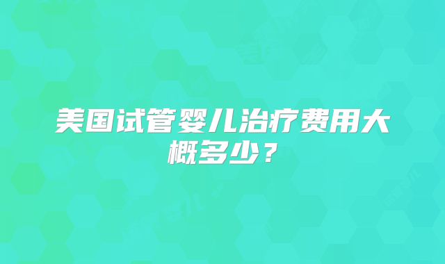 美国试管婴儿治疗费用大概多少?