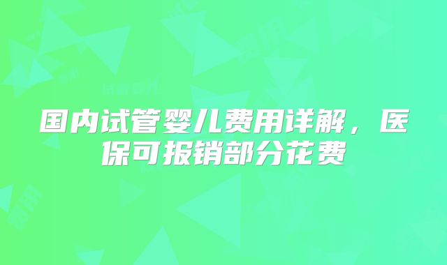 国内试管婴儿费用详解，医保可报销部分花费