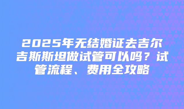 2025年无结婚证去吉尔吉斯斯坦做试管可以吗？试管流程、费用全攻略