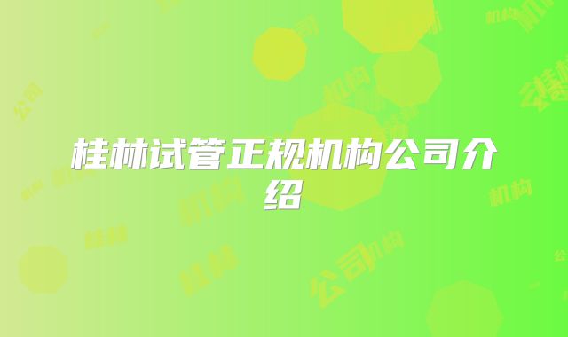 桂林试管正规机构公司介绍