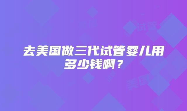 去美国做三代试管婴儿用多少钱啊?