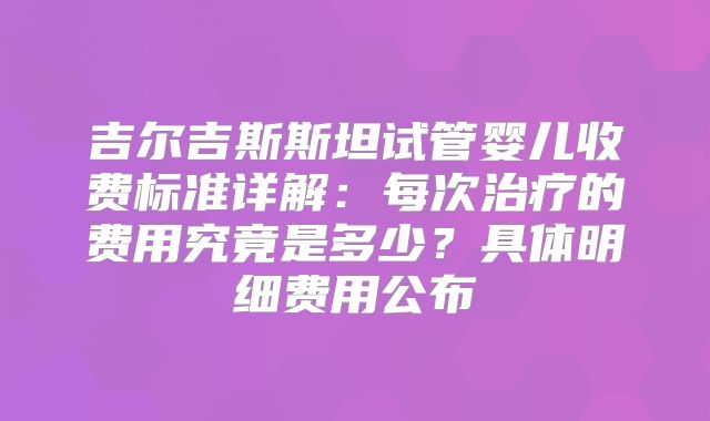 吉尔吉斯斯坦试管婴儿收费标准详解：每次治疗的费用究竟是多少？具体明细费用公布