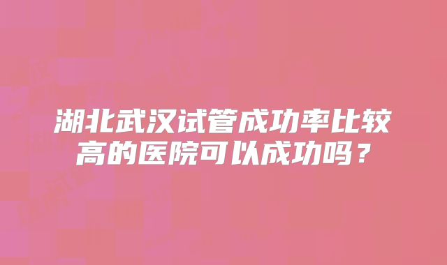 湖北武汉试管成功率比较高的医院可以成功吗？