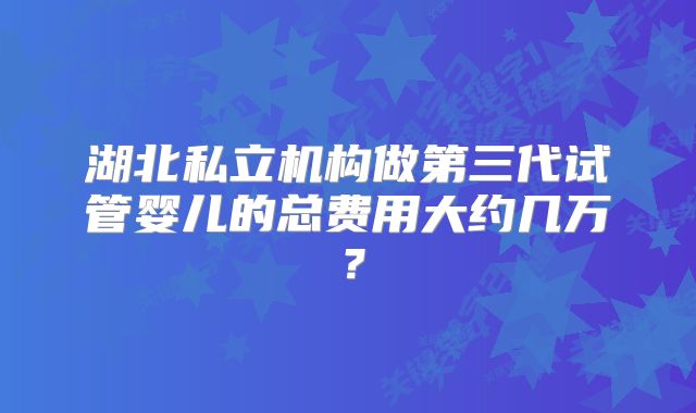 湖北私立机构做第三代试管婴儿的总费用大约几万?