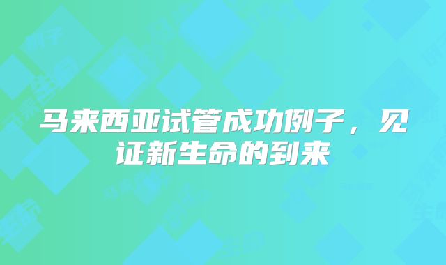 马来西亚试管成功例子，见证新生命的到来
