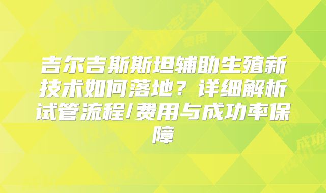 吉尔吉斯斯坦辅助生殖新技术如何落地？详细解析试管流程/费用与成功率保障