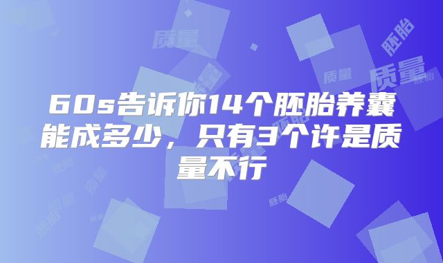 60s告诉你14个胚胎养囊能成多少,只有3个许是质量不行