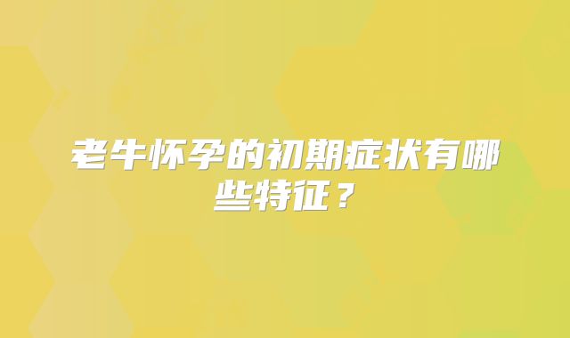 老牛怀孕的初期症状有哪些特征?