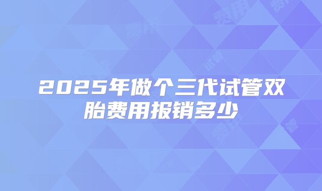 2025年做个三代试管双胎费用报销多少