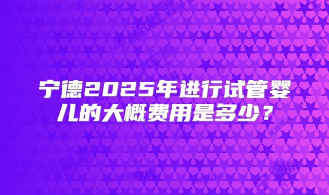 宁德2025年进行试管婴儿的大概费用是多少?