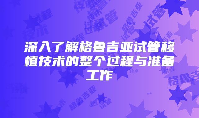 深入了解格鲁吉亚试管移植技术的整个过程与准备工作