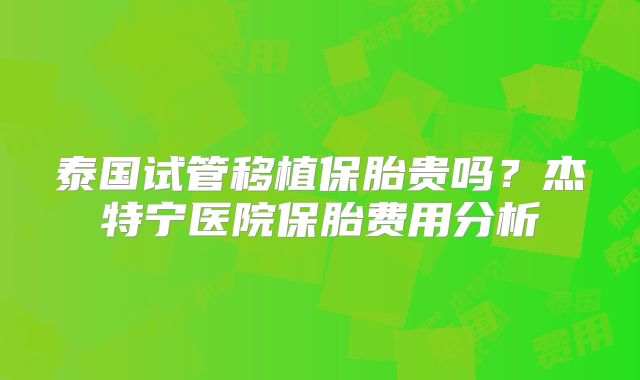 泰国试管移植保胎贵吗?杰特宁医院保胎费用分析