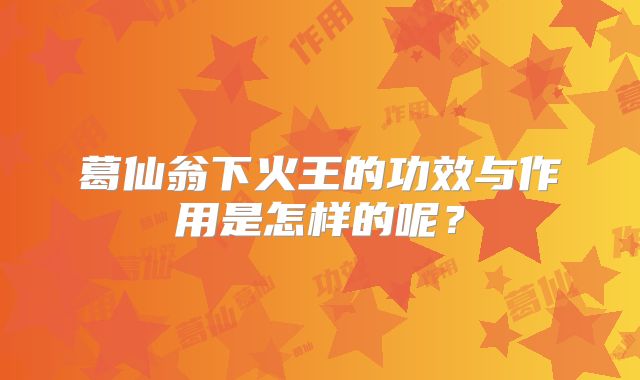 葛仙翁下火王的功效与作用是怎样的呢？