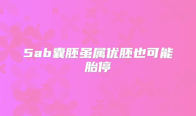 5ab囊胚虽属优胚也可能胎停